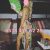 Orjinal Balık Etli Sarışın Escort Nehir - Resim10 Orjinal Balık Etli Sarışın Escort Nehir - Resim10